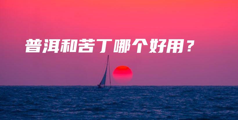 普洱和苦丁哪個好用？插圖