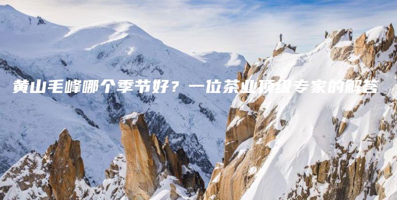 黃山毛峰哪個(gè)季節(jié)好？一位茶業(yè)頂級(jí)專家的解答插圖