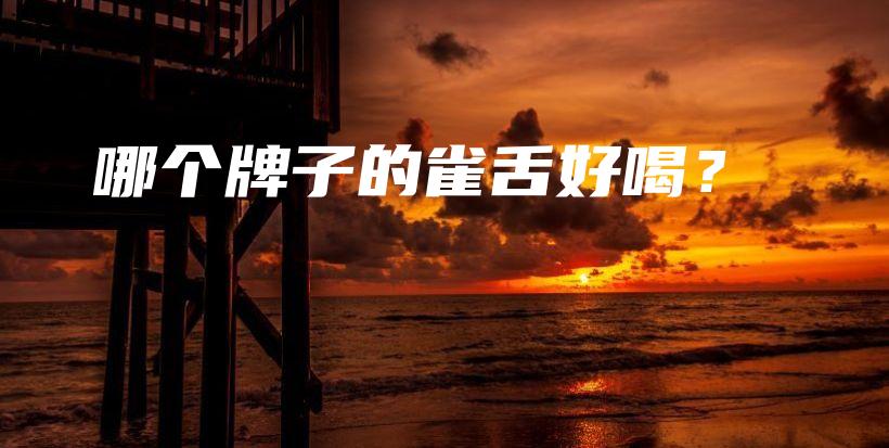 哪個牌子的雀舌好喝？插圖
