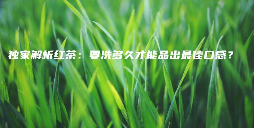 獨家解析紅茶：要洗多久才能品出最佳口感？插圖