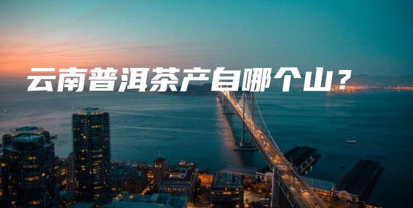 云南普洱茶產(chǎn)自哪個山？插圖