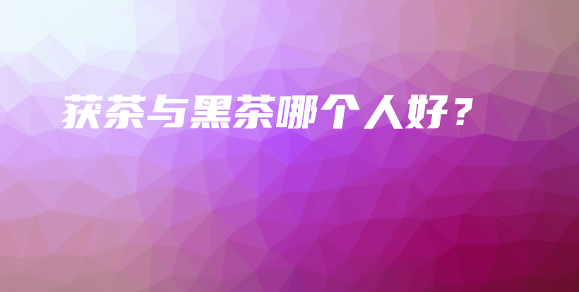 獲茶與黑茶哪個人好？插圖