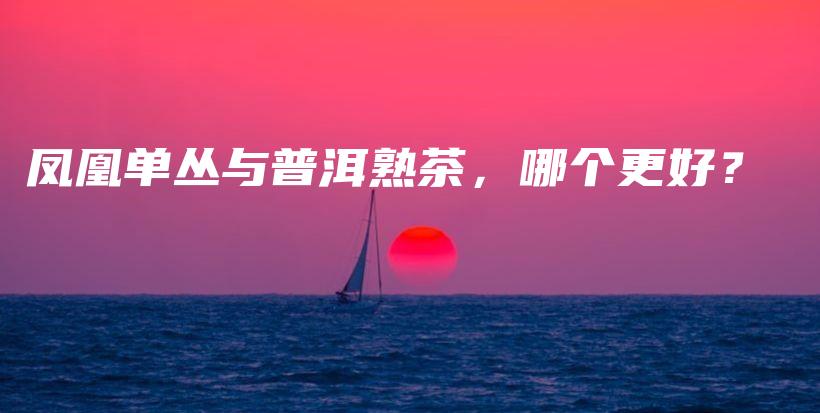 鳳凰單叢與普洱熟茶，哪個更好？插圖