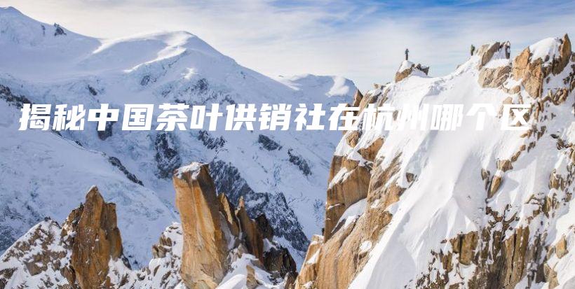 揭秘中國(guó)茶葉供銷社在杭州哪個(gè)區(qū)插圖