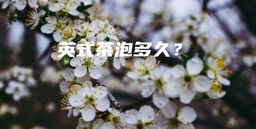 英式茶泡多久？插圖