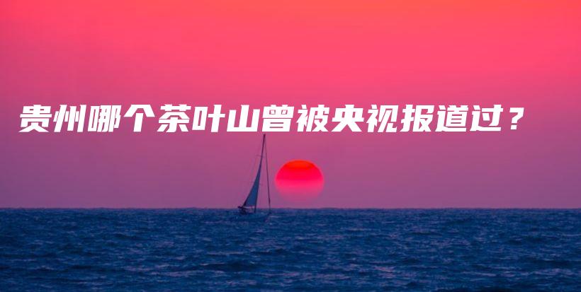 貴州哪個(gè)茶葉山曾被央視報(bào)道過(guò)？插圖