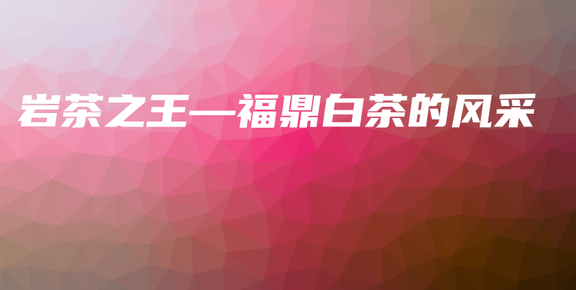 巖茶之王—福鼎白茶的風(fēng)采插圖