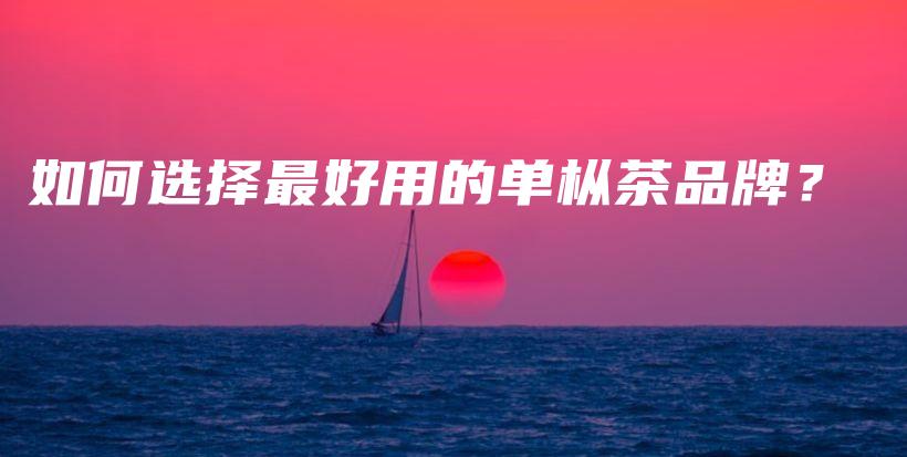 如何選擇最好用的單樅茶品牌？插圖
