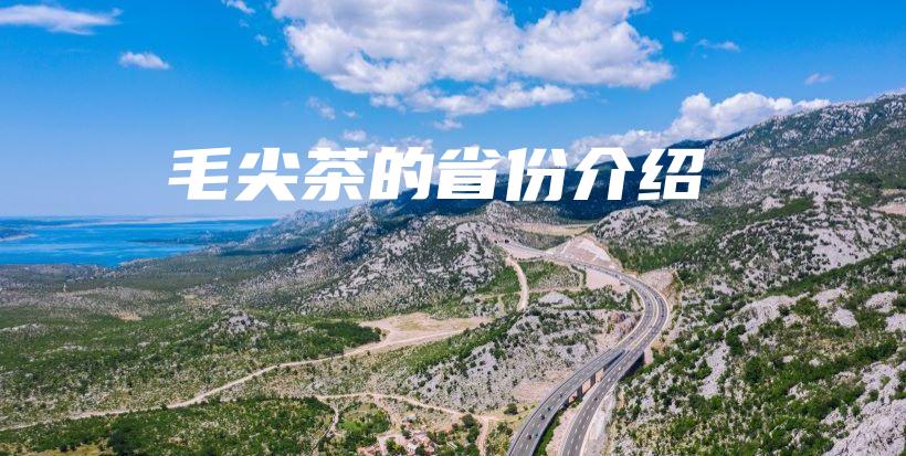 毛尖茶的省份介紹插圖