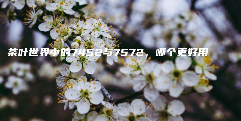 茶葉世界中的7452與7572，哪個(gè)更好用插圖