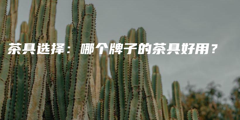 茶具選擇：哪個(gè)牌子的茶具好用？插圖
