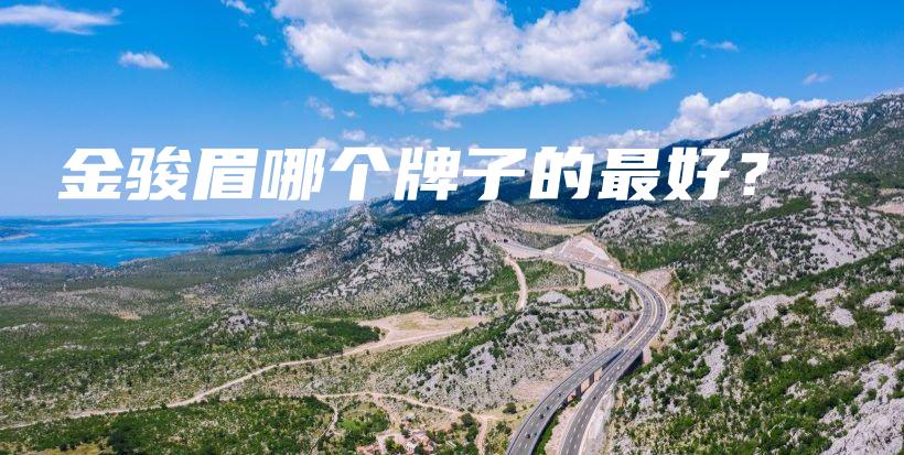 金駿眉哪個(gè)牌子的最好？插圖