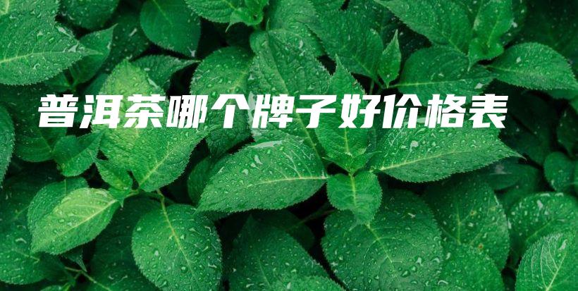普洱茶哪個(gè)牌子好價(jià)格表插圖