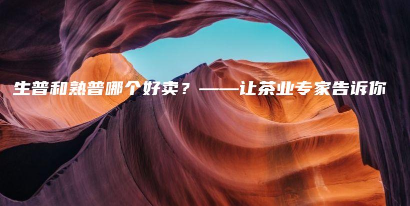 生普和熟普哪個好賣？——讓茶業(yè)專家告訴你插圖
