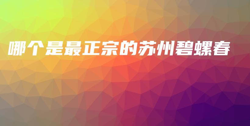 哪個是最正宗的蘇州碧螺春插圖