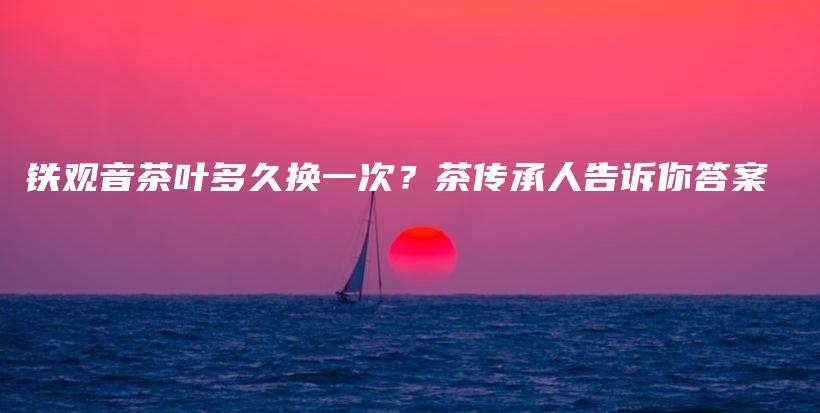 鐵觀音茶葉多久換一次？茶傳承人告訴你答案插圖