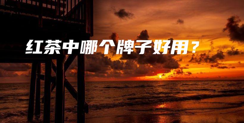 紅茶中哪個牌子好用？插圖