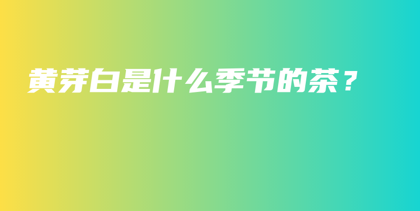 黃芽白是什么季節(jié)的茶？插圖