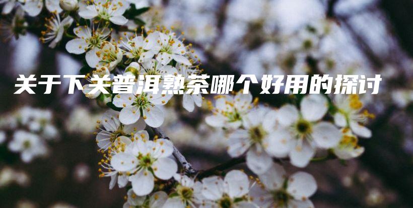 關于下關普洱熟茶哪個好用的探討插圖