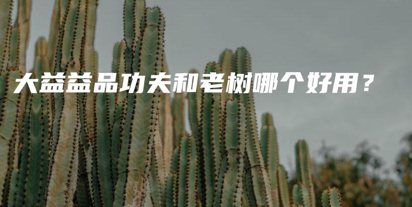 大益益品功夫和老樹哪個(gè)好用？插圖