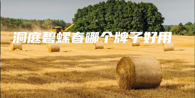 洞庭碧螺春哪個牌子好用插圖