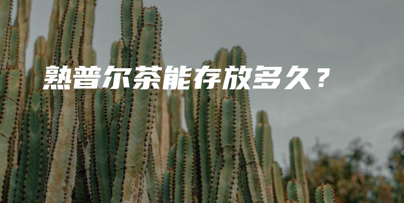 熟普爾茶能存放多久？插圖