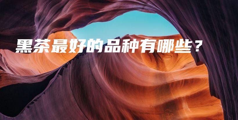 黑茶最好的品種有哪些？插圖