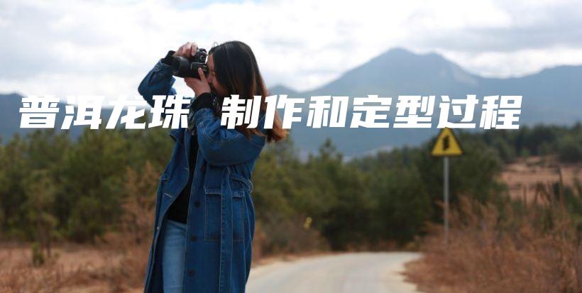 普洱龍珠 制作和定型過程插圖