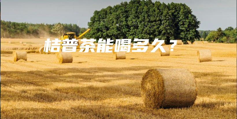 桔普茶能喝多久？插圖