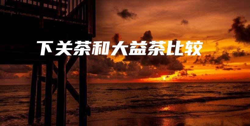 下關(guān)茶和大益茶比較插圖