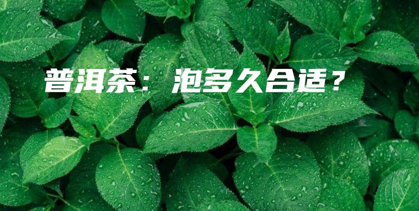 普洱茶：泡多久合適？插圖