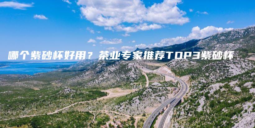 哪個(gè)紫砂杯好用？茶業(yè)專家推薦TOP3紫砂杯插圖