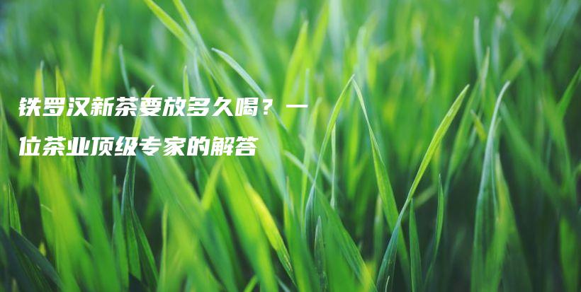 鐵羅漢新茶要放多久喝？一位茶業(yè)頂級專家的解答插圖