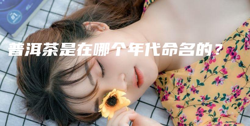 普洱茶是在哪個(gè)年代命名的？插圖