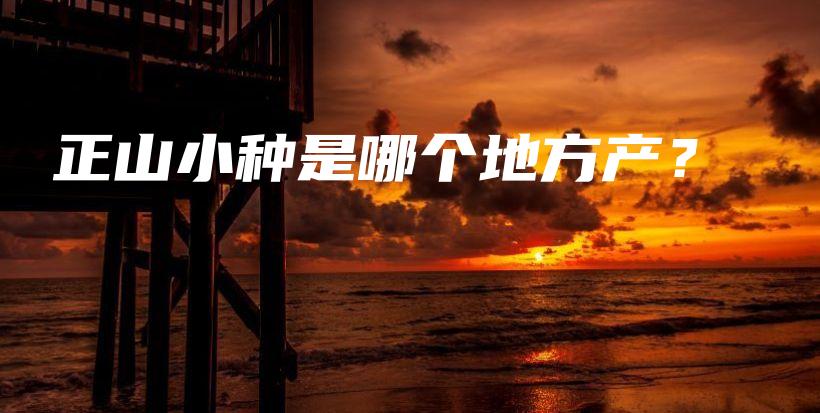 正山小種是哪個地方產(chǎn)？插圖