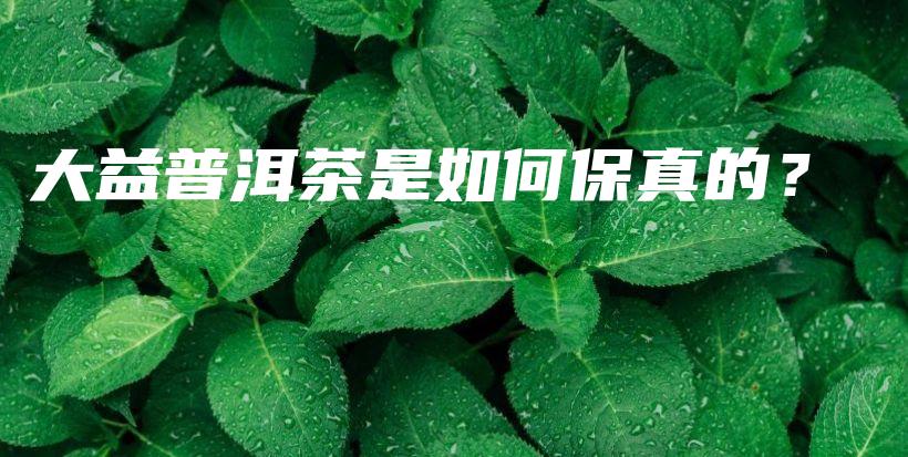 大益普洱茶是如何保真的？插圖