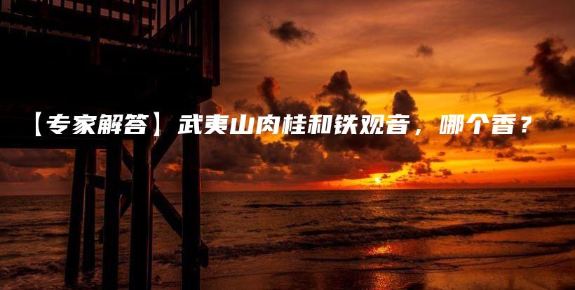 【專家解答】武夷山肉桂和鐵觀音，哪個(gè)香？插圖