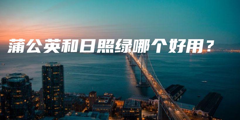 蒲公英和日照綠哪個好用？插圖