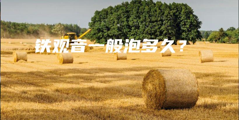 鐵觀音一般泡多久？插圖