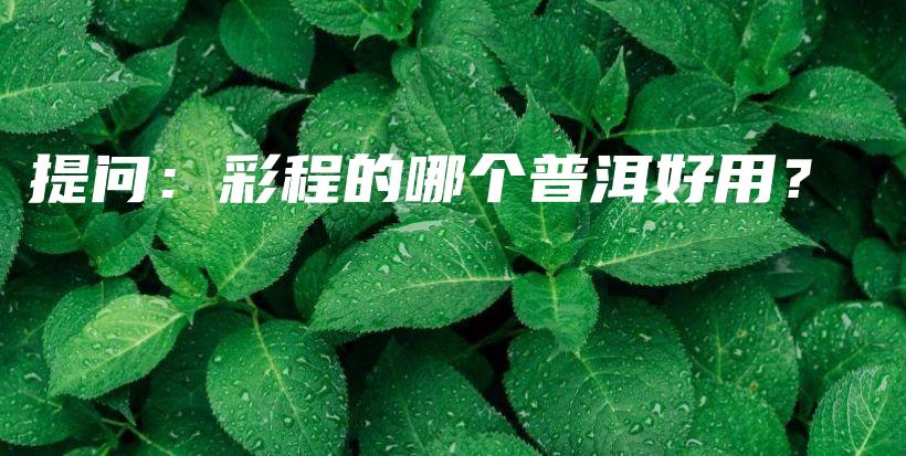 提問：彩程的哪個普洱好用？插圖