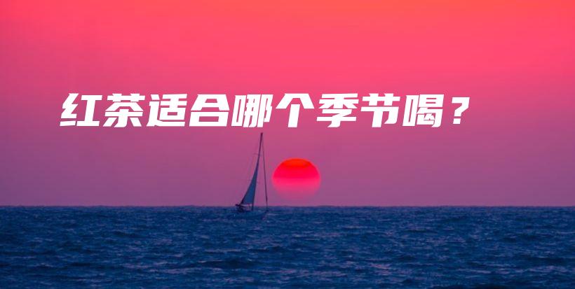 紅茶適合哪個(gè)季節(jié)喝？插圖