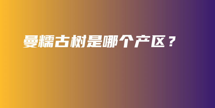 曼糯古樹是哪個產(chǎn)區(qū)？插圖