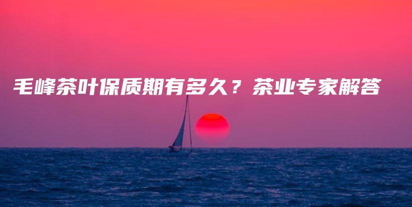 毛峰茶葉保質期有多久？茶業(yè)專家解答插圖