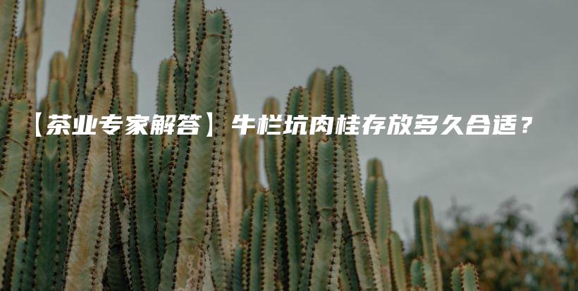 【茶業(yè)專家解答】牛欄坑肉桂存放多久合適？插圖