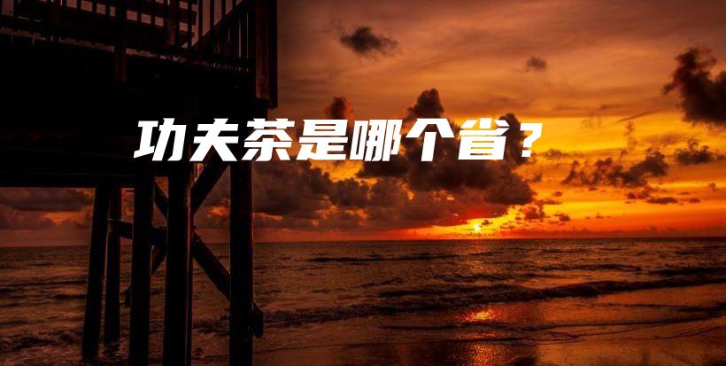 功夫茶是哪個??？插圖