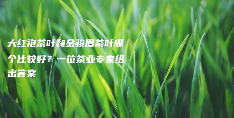 大紅袍茶葉和金駿眉茶葉哪個(gè)比較好？一位茶業(yè)專家給出答案插圖