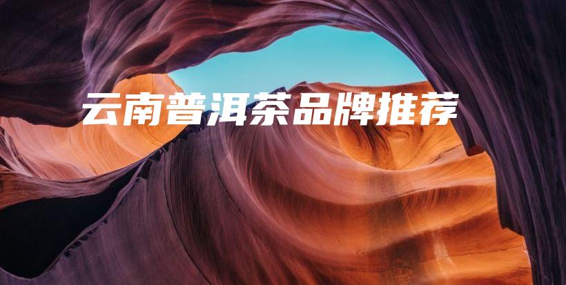 云南普洱茶品牌推薦插圖