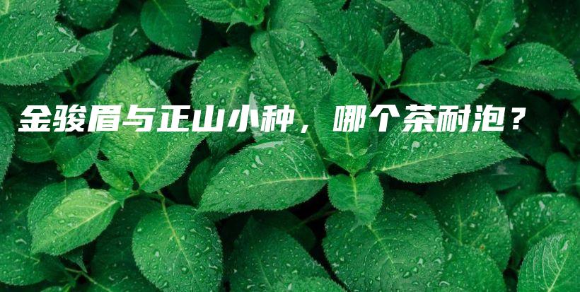 金駿眉與正山小種，哪個茶耐泡？插圖