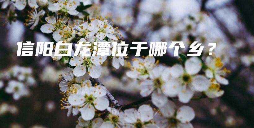 信陽(yáng)白龍?zhí)段挥谀膫€(gè)鄉(xiāng)？插圖