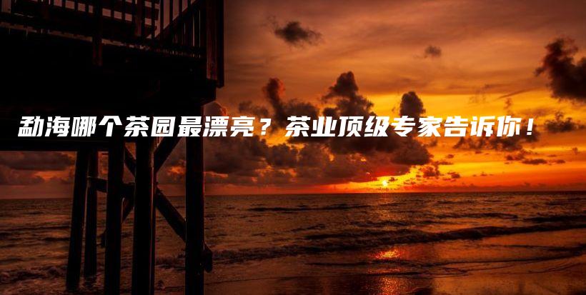 勐海哪個(gè)茶園最漂亮？茶業(yè)頂級(jí)專(zhuān)家告訴你！插圖